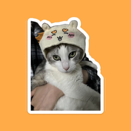 catkt