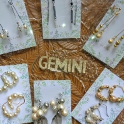 GEMINI