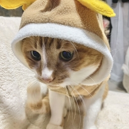 すずらん