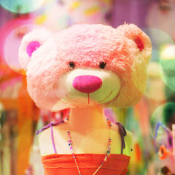 Ribbon-chan*