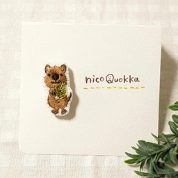 nico-quokka