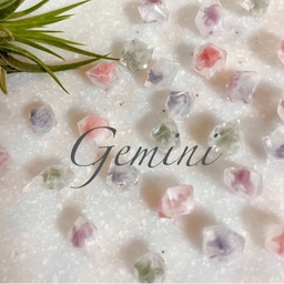 Gemini accessory