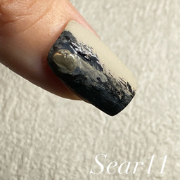 Sear11