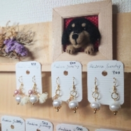 Mignonneﾐﾆｮﾝ　ゆき