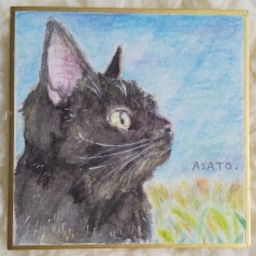 asato465610