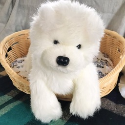 いぬこやん