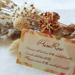 primrose_vintage