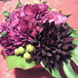 coloris