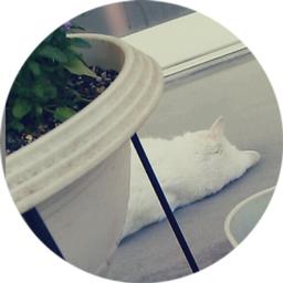 らみこ