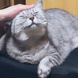 お湯