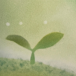 Y-room⭐︎自分の心地よいをみつける