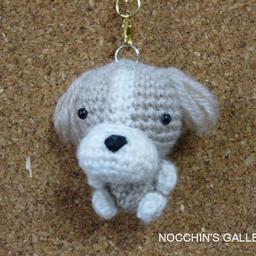 nocchin