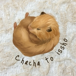 chacha to issho