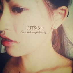 LUTS*rui