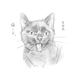 mayumikakuyo