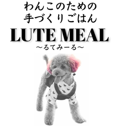 LUTE MEAL