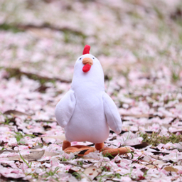 東城現像所