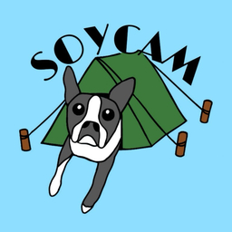 soy cam