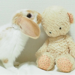 つうgallery