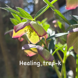  Healing tree-k