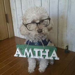 Amiha