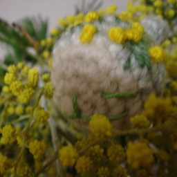 springmoon