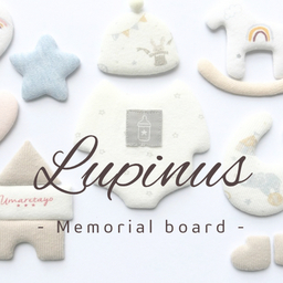 lupinus-mb