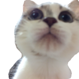 konekonyan