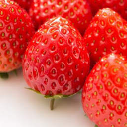 berrybouquet