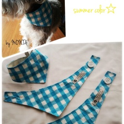 satomi