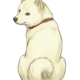 HIROAKI