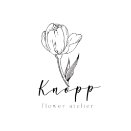 knopp-yuki