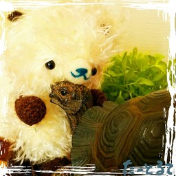 mico**