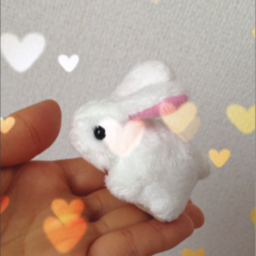 chaki,
