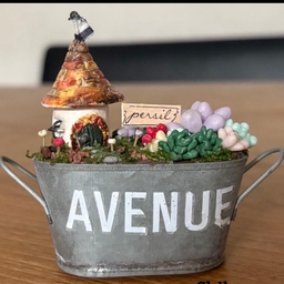 Acorn Haven🍄