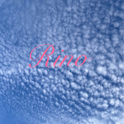 rino395