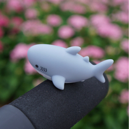 the same shark
