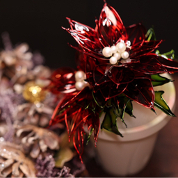 枯れない花屋-古都里庵