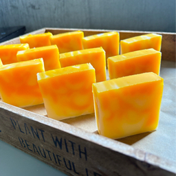 Northstar soap 