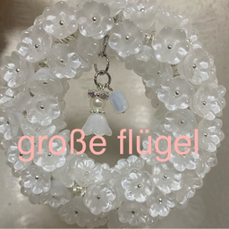 g-flugel
