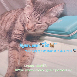wannyanchip