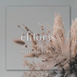  chloris    ♛クロリス