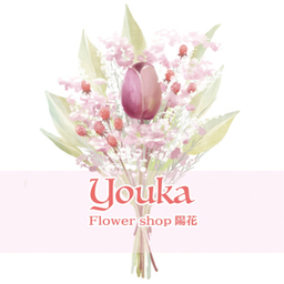 Youka 陽花