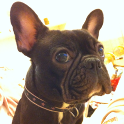 coco