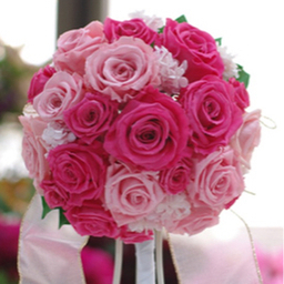 rose-0307