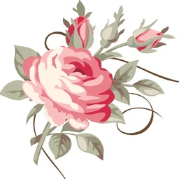 Rosy Rose