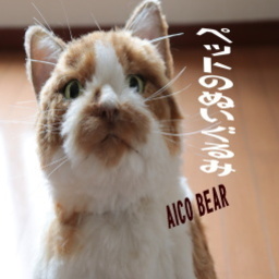 aicobear