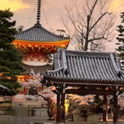 the-kyoto