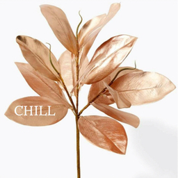 chill2580