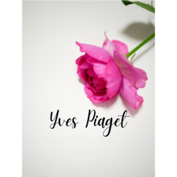 yvespiagetyp